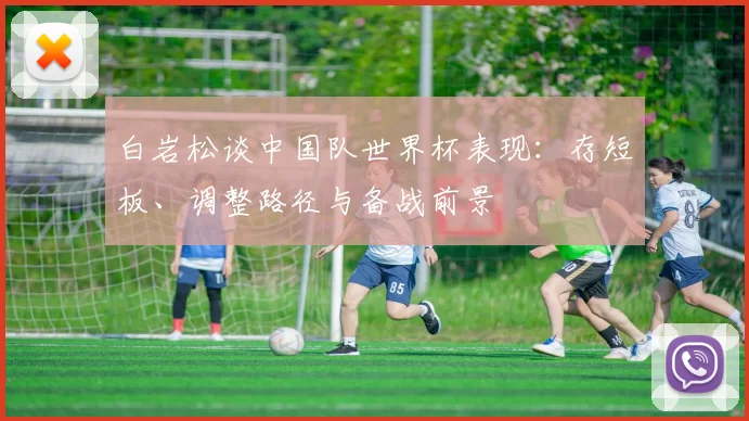 白岩松谈中国队世界杯表现：存短板、调整路径与备战前景