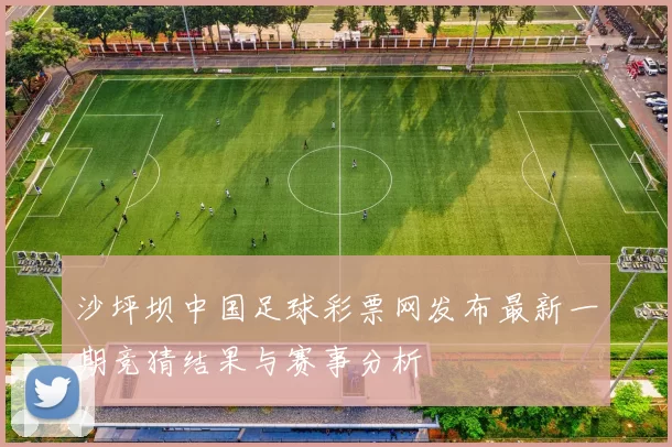 沙坪坝中国足球彩票网发布最新一期竞猜结果与赛事分析