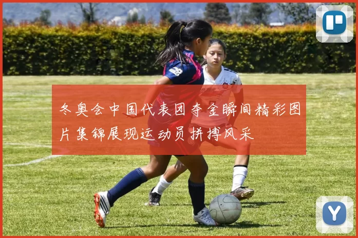 冬奥会中国代表团夺金瞬间精彩图片集锦展现运动员拼搏风采