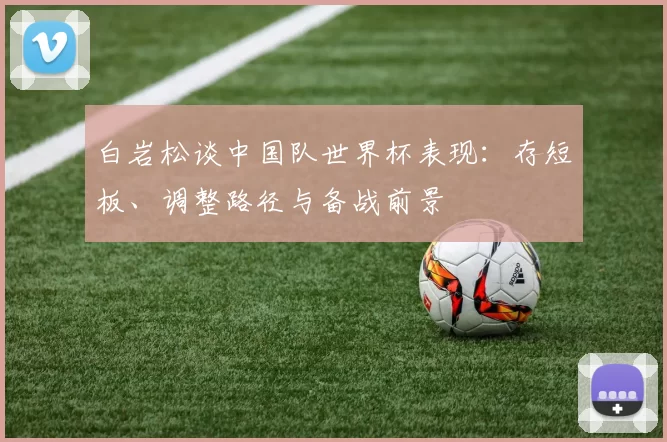 白岩松谈中国队世界杯表现：存短板、调整路径与备战前景